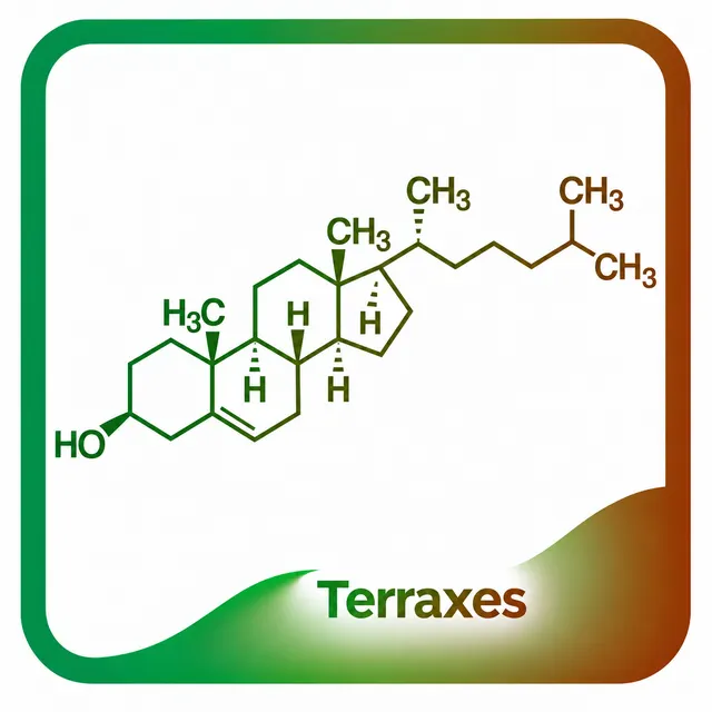 Electrochemical total cholesterol sensor