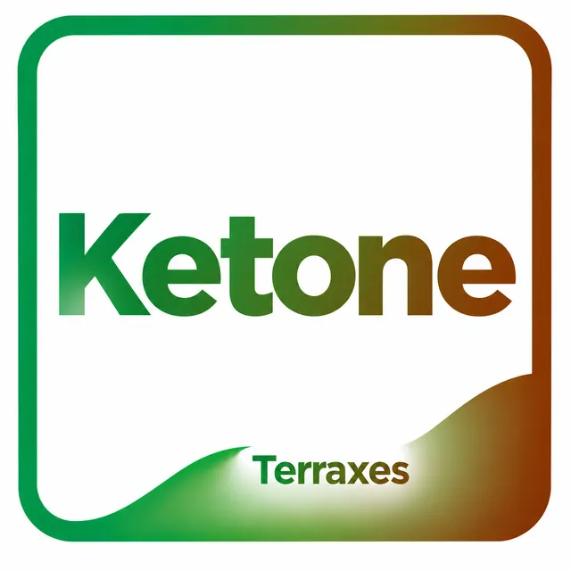 Electrochemical ketone sensor